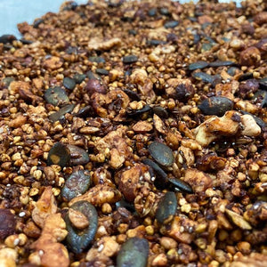 Cocoa Nut and Seed Granola